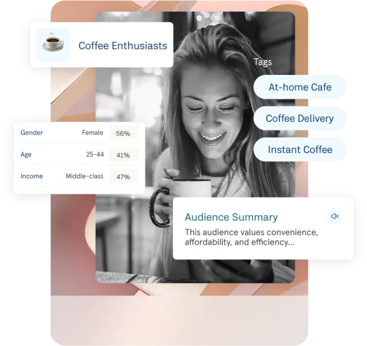 Audience Insights Dashboard